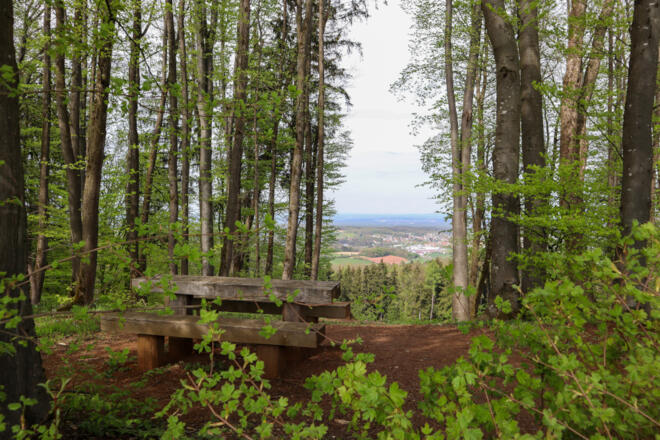 Ausblick vom Schloßberg