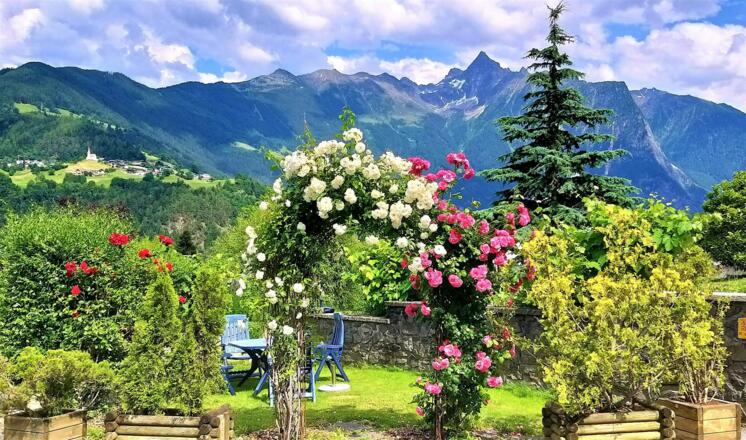 Rosengarten mit herrlichem Bergpanorama(3)
