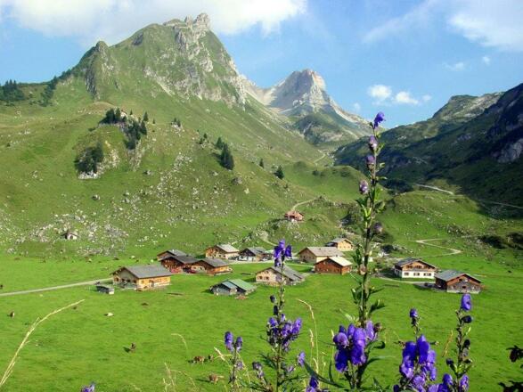 Alpe_Laguz_(c)_S._Zech_-_Verein_Großes_Walsertal_T