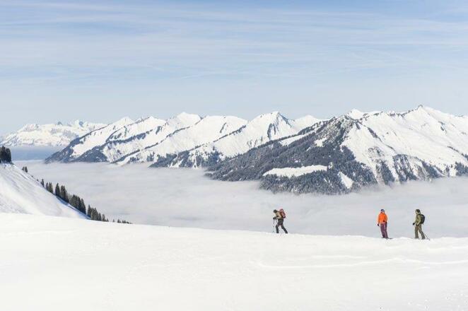 Winterwandern_Sonntag-Stein_(c)_Alex_Kaiser_-_Alpe