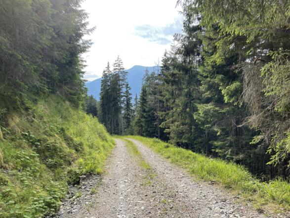 Bergab auf dem Karrenweg