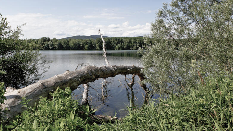 Traun-Donau-Auen_Weikerlsee_c-Reibnegger-Thomas_web