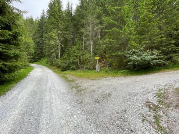 Weggabelung - Wanderweg Karalm - Forststraße