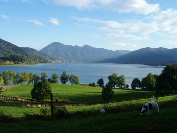 Der Tegernsee mit Wallberg und Setzberg