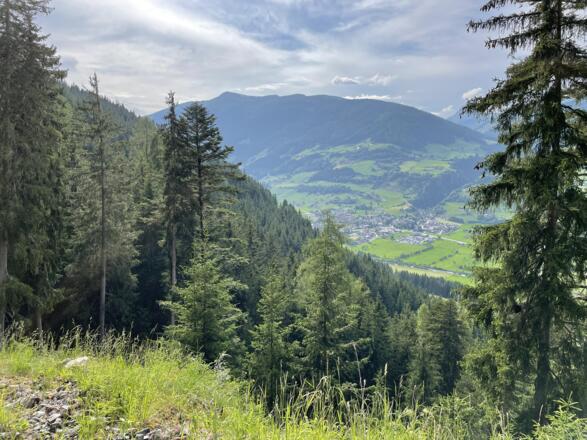 Ausblick Richtung Wildkogel und Mühlbachtal