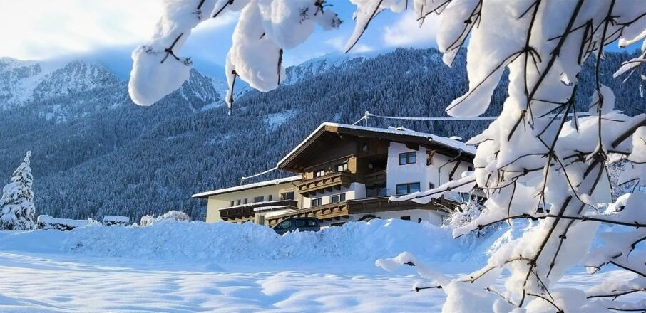 Alpina Vorderansicht s