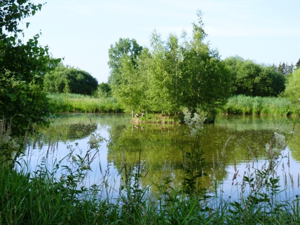 An der Kollbach bei Arnstorf