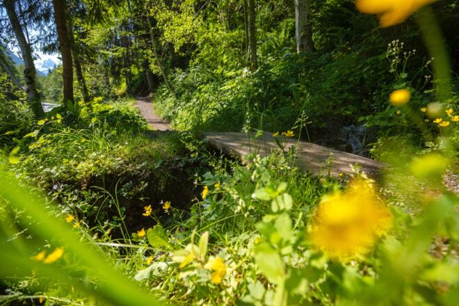 Talweg von St. Gallenkirch nach Partenen