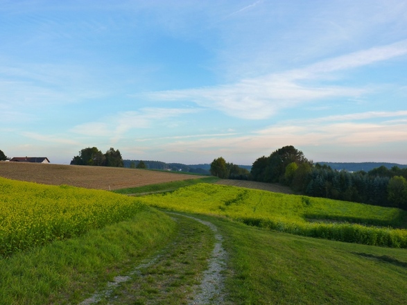 Wanderweg bei Holzhäusel