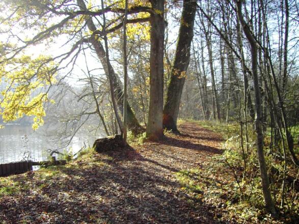 Wandern am Fischereilehrpfad in Gern