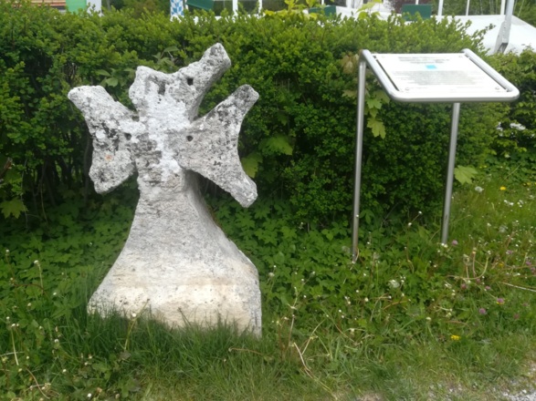 Der Hoffischereiweg