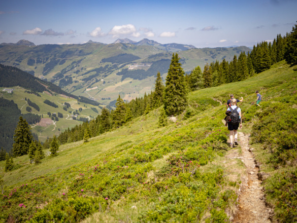 Aussichtsreiche Tour - Wanderung zur Hacklbergalm in Hinterglemm