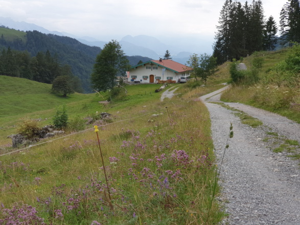 Fahrtweg bei Wirths Alm