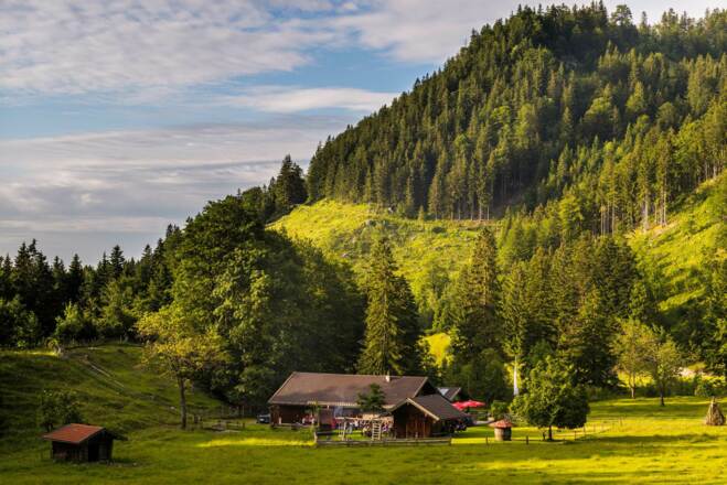 Samerberg - Blick auf die Doagl Alm