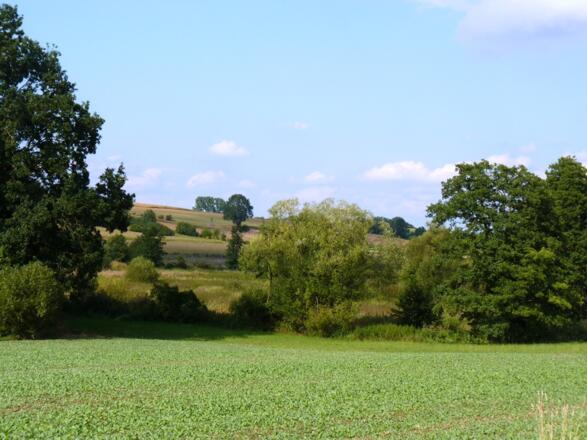 Am Sulzbach bei Emmersdorf