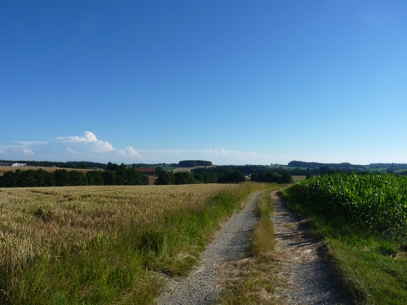 Ausblick bei Ed