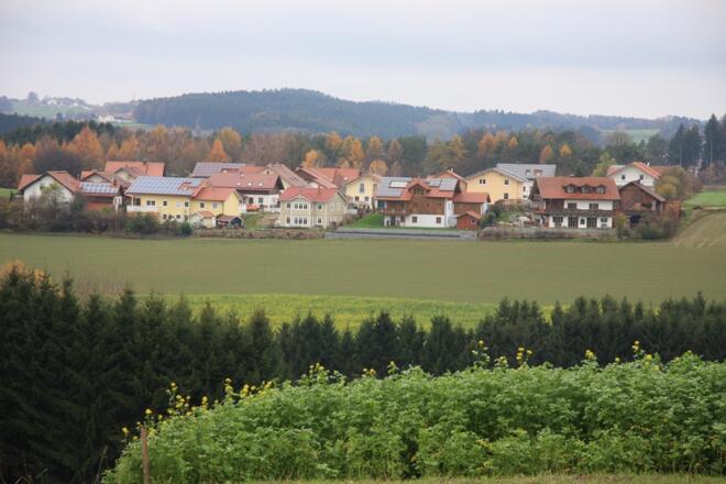 Dambacher Feld bei Holzleithen