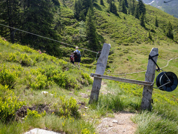 Wanderung zur Hacklbergalm in Hinterglemm