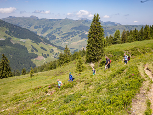Wanderung zur Hacklbergalm in Hinterglemm