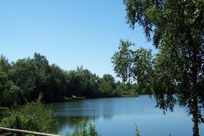 Blick auf den Waldsee
