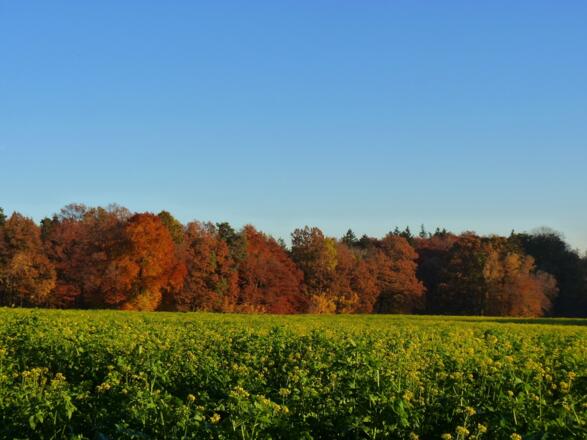 Ausblick auf der Wanderrunde