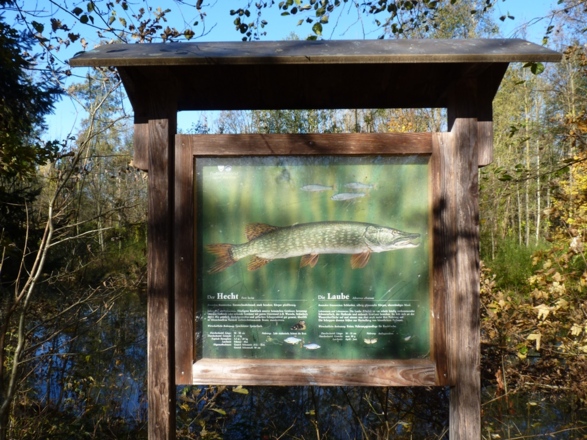 Fischereilehrpfad am Lichtlberger Wald