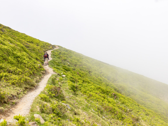 Wanderung zur Hacklbergalm in Hinterglemm
