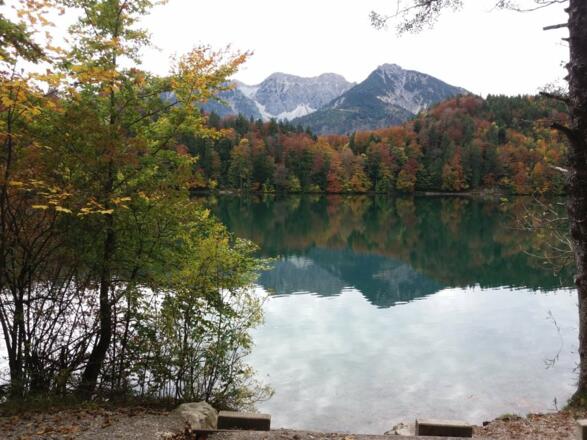 Alatsee