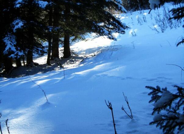 Winter in den Bergen