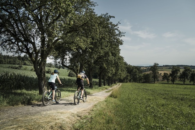 Radfahren in Bad Schallerbach