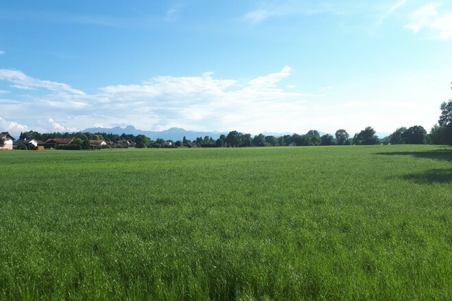 Via Julia bei Großkarolinenfeld mit Blick auf die Alpenkette