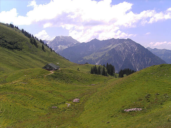 Blick zur Zipfelsalpe