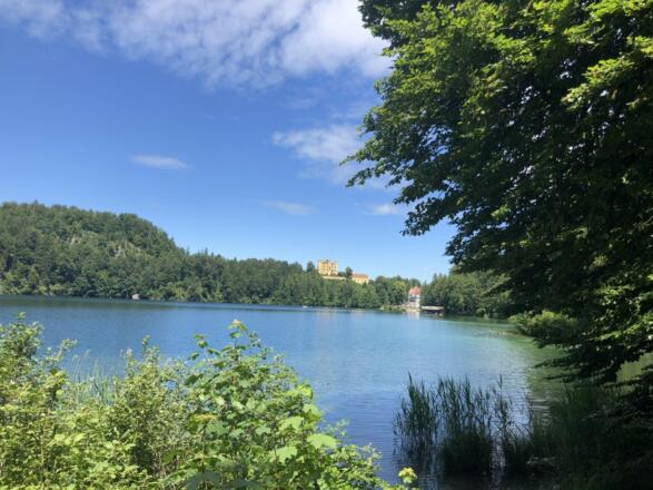 Alpsee Schwangau