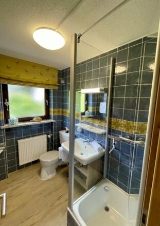 FeWo_5_Tageslicht-Badezimmer mit Dusche und WC