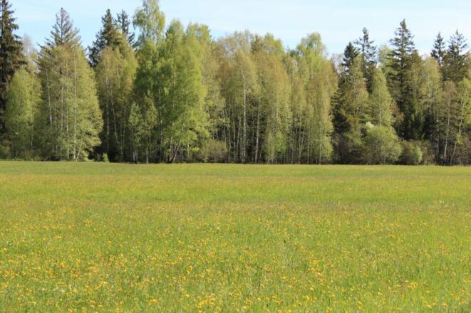 h.wahle-mein-birkenhof087