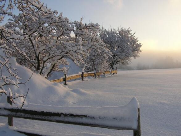 winter