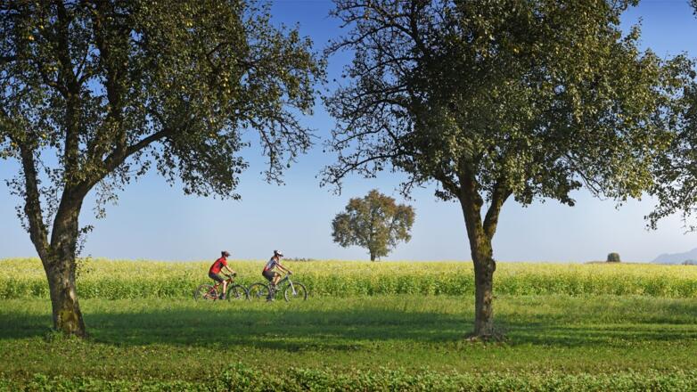 Radfahren in Bad Hall