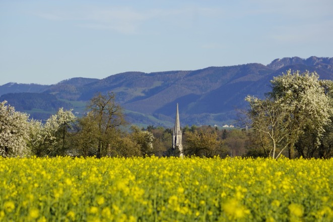 Katholische Pfarrkirche Bad Hall