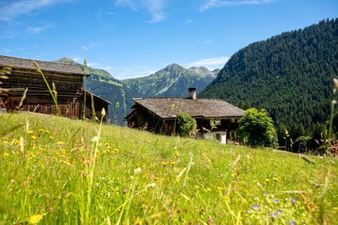 Rüti St. Gallenkirch