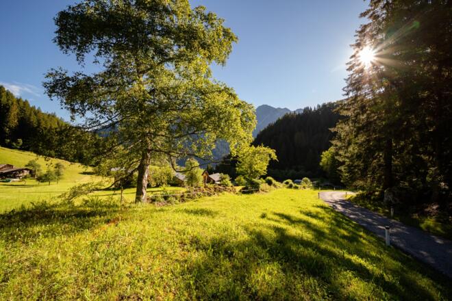 Rüti St. Gallenkirch