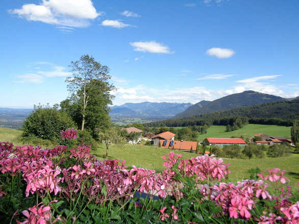 Ihre Aussicht vom Ferienhaus Stipfing