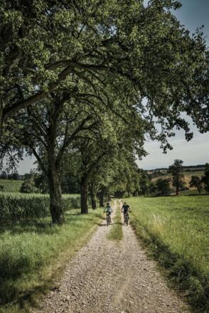 Radfahren in Bad Schallerbach