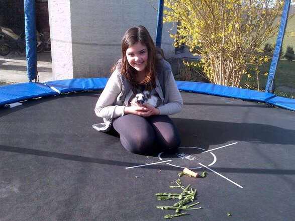 Unser beliebtes Trampolin