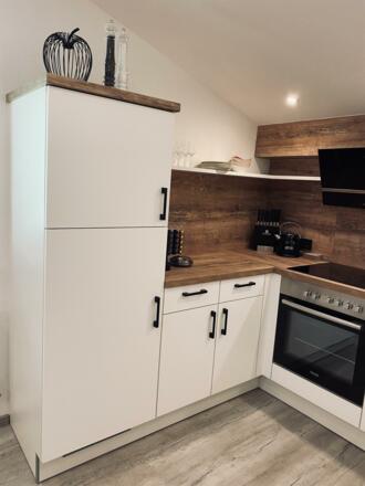 appartement_apartment_riese_neustift_stubaital_mod