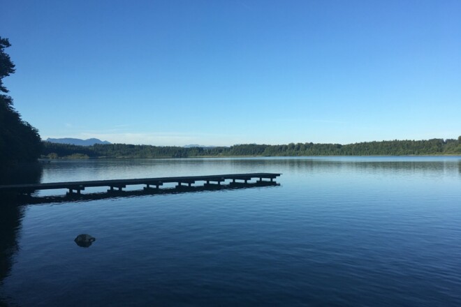 Hartsee