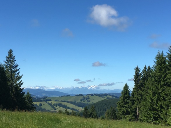 Auf dem Hauchenberg mit Blick Richtung Westen auf Säntis, Altmann und Hoher Kasten in der Ostschweiz/Appenzell - auch als Alpsteingebirge bekannt!
