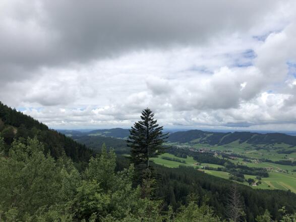 Auf der Nordseite des Hauchenberges mit Blick ins Weitnauer Tal und dem „Sonneck“ gegenüber