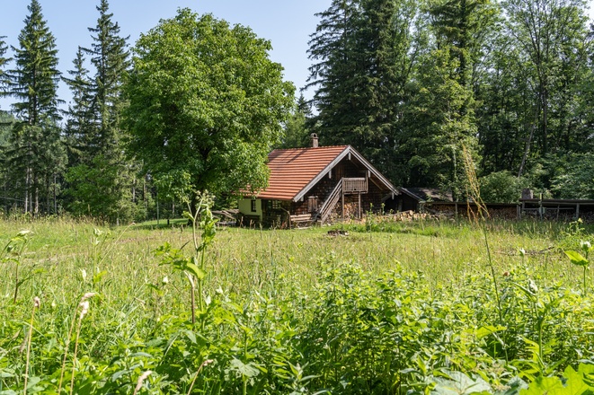 Die Moar Alm