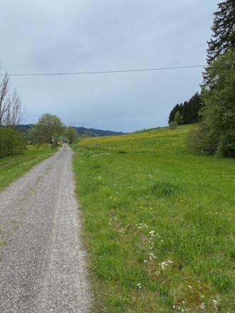 Heute Rad- und Joggingstrecke, von 1909 bis 1984 Bahnstrecke zwischen Kempten und Isny