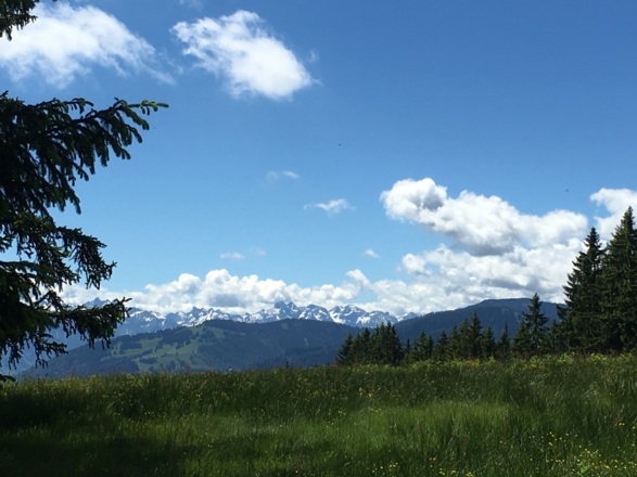 Auf dem Hauchenberg im Frühling mit Blick auf den Mittag im Vordergrund, rechts Steineberg, Stuiben und im Hintergrund der Allgäuer Hauptkamm